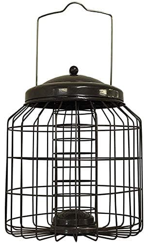 Image of Selections Deluxe Heavy Duty Squirrel Proof Suet Fat Ball Hanging Bird Feeder Cage