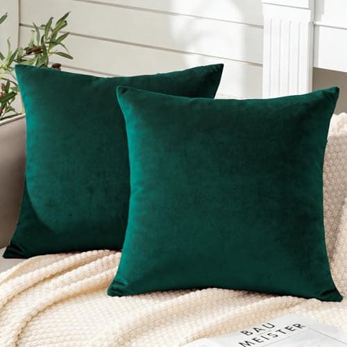 Image of Soifox Pack of 2 Velvet Cushion Covers Dark Green Decorative Square Throw Pillow Covers Pillowcases 45x45 cm 18x18 Inch Cushion Case Home Decor Pillow Cases for Couch Sofa Living Room Bed