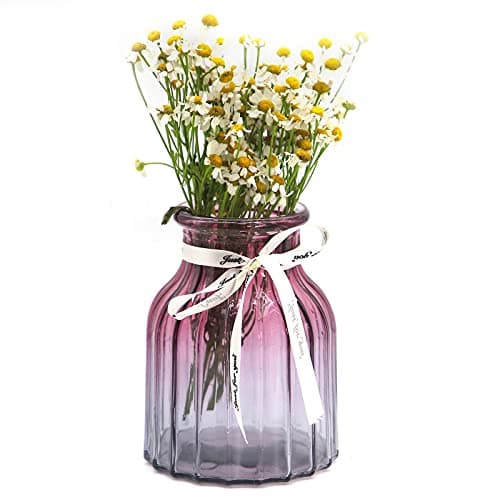 Image of OFFIDIX Glass vase Gradient Multicolor Vase, Home, Office, Living Room Decoration Glass Flower Vase (Purple Gray)