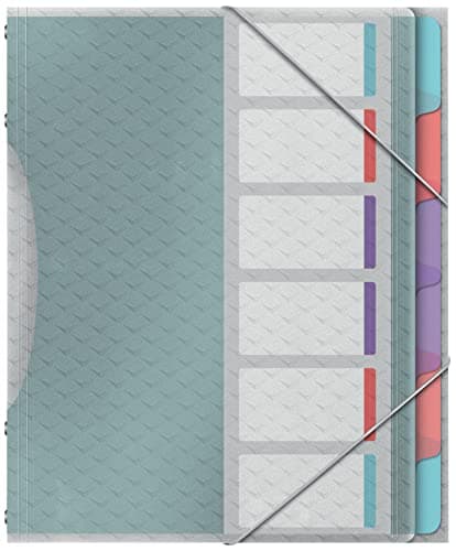 Image of Esselte File Divider Book With 6 Tabs, A4, Acid Free Paper/Document Organiser, Clear Plastic Pockets, Home/Office, Embossed Pattern, Colour'Breeze Range, Multi Colour, 626255
