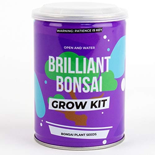 Image of Gift Republic GR850003 Grow Your Own Bonsai Tree, Brown