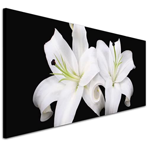 Image of Wallfillers Black and White Lily Flowers Canvas Wall Art Print - 1128-118x49cm