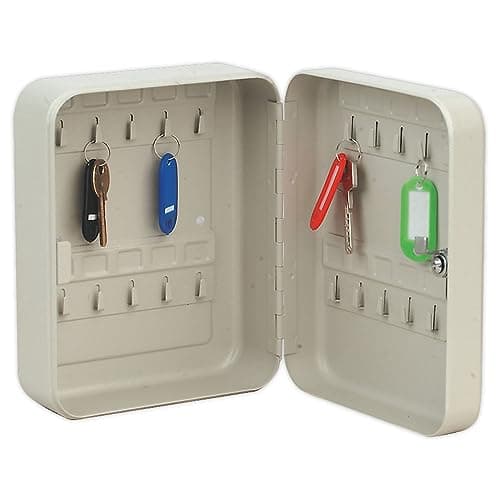 Image of Sealey SKC20 Key Cabinet with 20 Key Tags