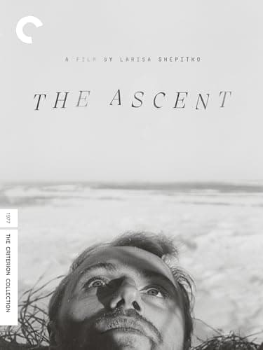 Image of The Ascent