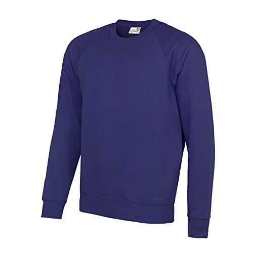 Image of Awdis Academy Mens Crew Neck Raglan Sweatshirt (XL) (Purple)