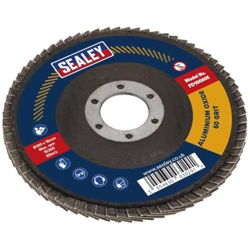 Image of Ø100mm Aluminium Oxide Flap Disc Ø16mm Bore 60Grit