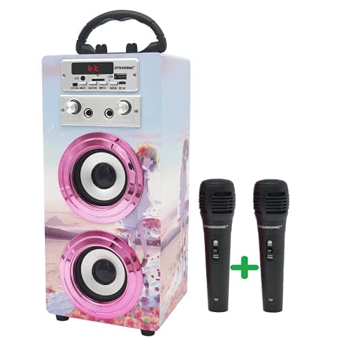 Image of DYNASONIC Karaoke Machine with 2 Microphones, Portable Bluetooth Speaker with Lights, USB and SD Reader, Gift for Children Ages 5-13 (Model 17)