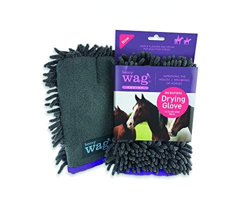 Image of Henry Wag Equine Drying Glove - Soft & Highly Absorbent Microfibre Noodles, Muddy Pet Accessories, Quick Drying - Designed for Horses - (25 x 17 x 2 cm)