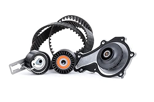 Image of INA 530 0578 30 Water Pump and Timing Belt Kit
