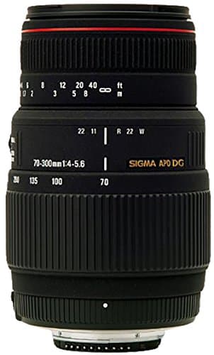 Image of Sigma AF 70-300mm f4-5.6 DG APO Macro Canon Fit Lens-Black