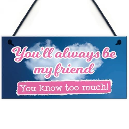 Image of Signs Plaques You'll Always Be My Friend Friendship Gift Hanging Plaque Sign House Decor