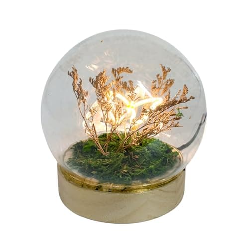 Image of Gleneagles Butterfly LED Glass Lamp – Decorative Night Light in Glass Dome, USB Powered Table Lamp with Single, Double or Trio Butterflies Soft Warm Glow for Bedroom, Desk, or Living Room (Single)