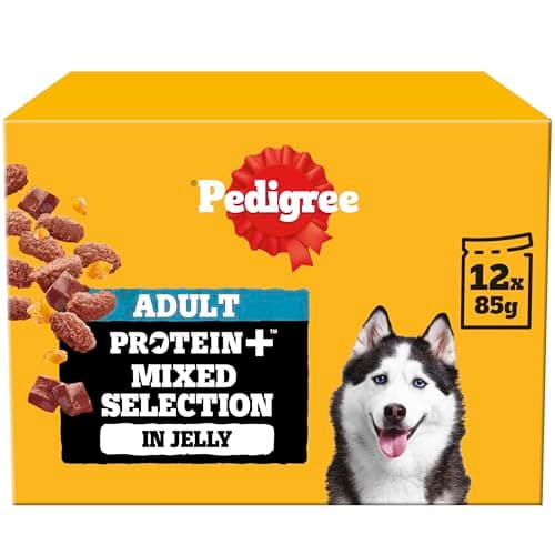 Image of PEDIGREE Adult Dog Food Pouches Protein+ Chunks in Jelly 48 x 85 g Multipack