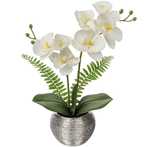 Image of Briful Artificial Orchid Plants White Orchid Real Touch Flowers Artificial Phalaenopsis Flower Stems in Silver Ceramic Pot, Fake Orchid Flowers for Home Decor Wedding Table Centerpiece