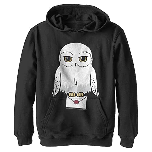 Image of Harry Potter Kids Deathly Hallows Anime Hedwig Mail Youth Pullover Hoodie, black, M