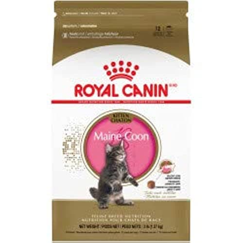 Image of Royal Canin Maine Coon Kitten Food 2kg