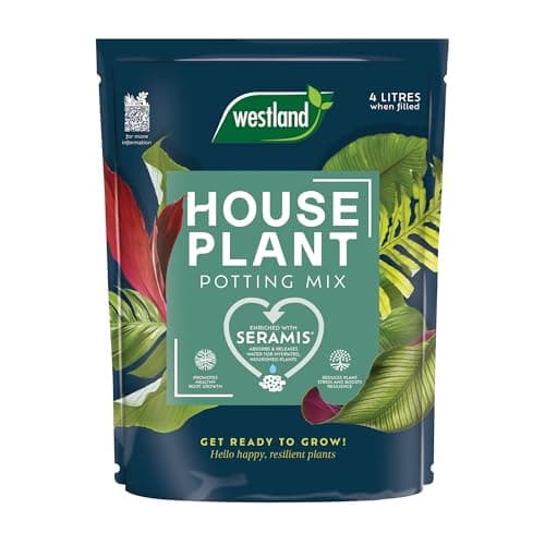 Image of Westland Houseplant Potting Mix 4L Peat Free Soil