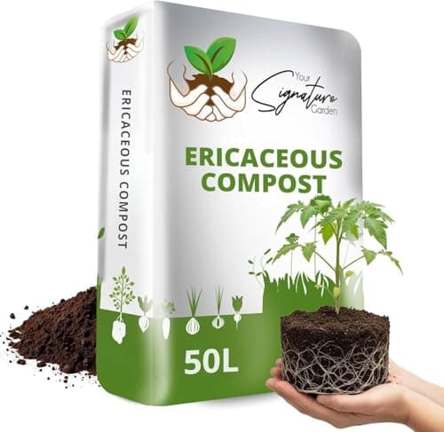 Image of Laeto Ericaceous Compost | Organic Acidic Potting Soil for Outdoor Plants | Ideal for Azaleas, Rhododendrons, Blueberries, Camellias & Citrus | Recyclable Bag 50L