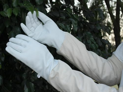 Image of COLOURLINX Beekeeping Gloves Goatskin Leather Protective Gloves For Beekeeper with Vented Sleeves Elastic Cuff Sting Protection Gardening Gloves (XL)