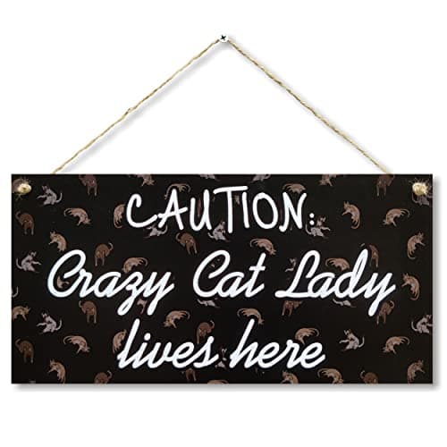 Image of CARISPIBET Caution: Crazy cat lady lives here home decorative signs for cat owners hanging ornament house decorative pet lovers funny wall art 6" x 12"
