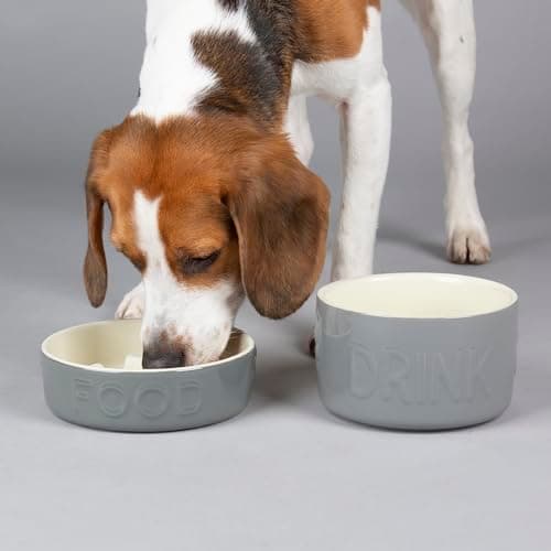 Image of Scruffs Classic Dog/Pet Slow Feeding Bowl Set - 20cm Slow Feeder & 20cm Water Bowl – Grey