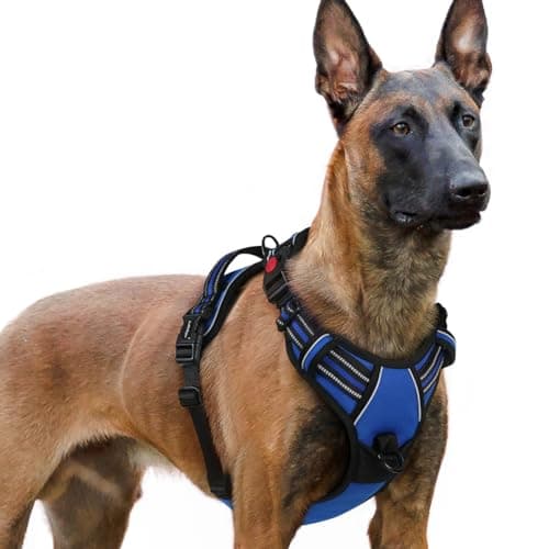Image of rabbitgoo Dog Harness Large Dog with Neck Release Buckle, No Pull Harness with Front Back Clips, Adjustable Soft Padded with Easy Control Handle, Reflective No-choke Pet Walking Vest, Blue, XL