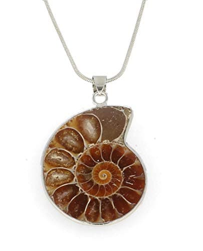 Image of Luxury Ammonite Necklace Pendant Gift Box Healing Crystal Fossil Jewellery Millions of Years Old