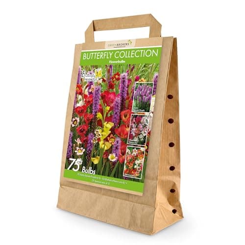 Image of 75 Bee & Butterfly Summer Bulb Collection | Mixed Bulb Varieties | Eco Packaging | Plant Now Ready to Bloom in Summer