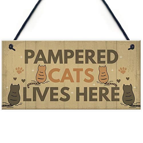 Image of Red Ocean Funny Cat Sign For Home Cat Sign For Gate Pet Sign Funny Cat Gift Cat Lover Gift Keepsake