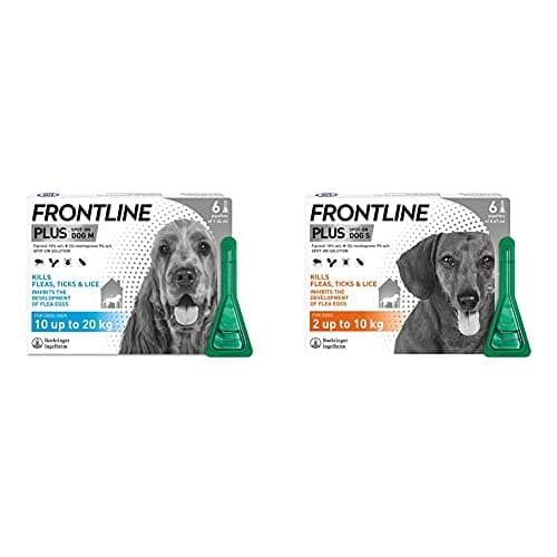 Image of FRONTLINE Plus Flea & Tick Treatment for Medium Dogs (10-20 kg) - 6 Pipettes & Plus Flea & Tick Treatment for Small Dogs (2-10 kg) - 6 Pipettes