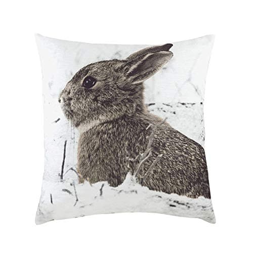 Image of Evans Lichfield Photo Hare Cushion Cover, Multi, 43 x 43cm
