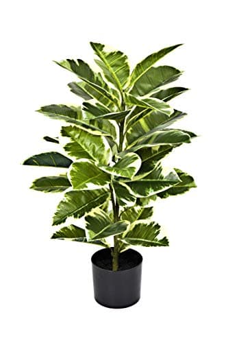 Image of GreenBrokers Artificial Real Touch Rubber Plant in Pot 75cm
