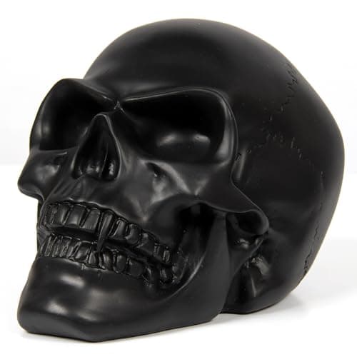 Image of THORNE ANTIQUES AND COLLECTABLES Black Skull Human Head Ornament Gothic Home Halloween Decor19.5cm x 12.5cm x 13cm