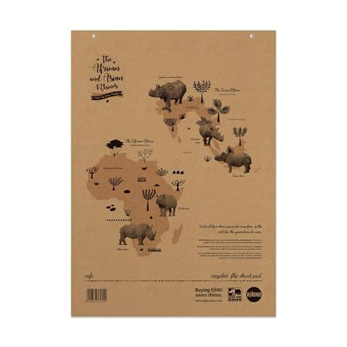 Image of Rhino A1 Recycled Flip Chart Paper Pad, 80-Page / 20mm Squared Paper, 1-Pack, 40-Leaf, Office & School Stationery Supplies