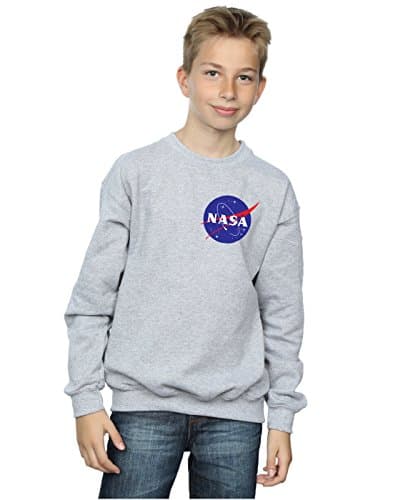 Image of Nasa Boys Classic Insignia Chest Logo Sweatshirt 5-6 Years Sport Grey