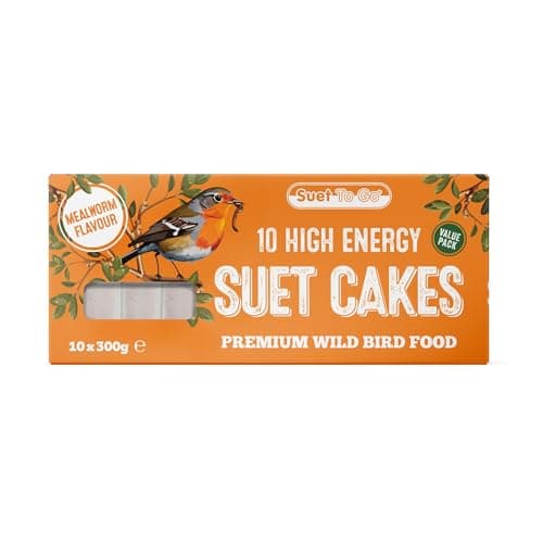Image of Suet To Go Mealworm Suet Block Wild Bird Treat, 300 g ( Pack of 10) (Packaging may vary)