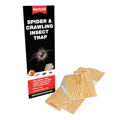 Image of Decco Rentokil FS58 Spider and Crawling Insect Trap