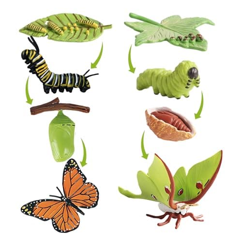 Image of XcnPer 8-Piece Butterfly Kit, Butterfly Kits with Live Caterpillars, Larva to Winged Insect Life Cycle, Educational Science Collection, Nature Study Specimen