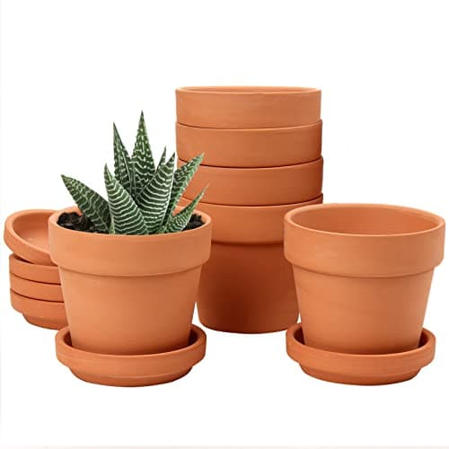 Image of Oairse 6PCS Terracotta Plant Pots 8x7.5cm Mini Clay Pot with Drainage and Saucers for Tiny Plant Cactus Small Succulent Pot Nursery Planter for Outdoor Indoor Plants Garden Decoration