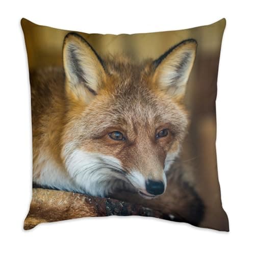 Image of Fabulous White Velvet Cushion Cover – Red Fox Waking Wild Life Animals – 40 x 40 cm Velvet Feel