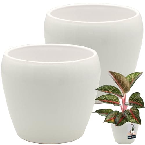Image of KOTARBAU® Set of 2 Flower Pots, White, Inside, Round, Diameter 12 cm, Height: 12 cm, Glazed Ceramic Flower Pots Indoor Flower Pot Plant Pot Indoor Orchid Planters Flower Pot Large Flower Pot