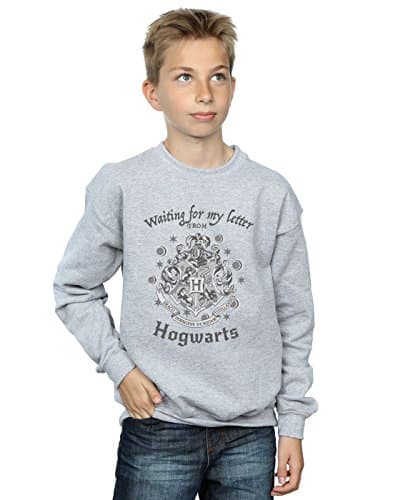 Image of Harry Potter Boys Hogwarts Waiting For My Letter Sweatshirt Sport Grey 9-11 Years