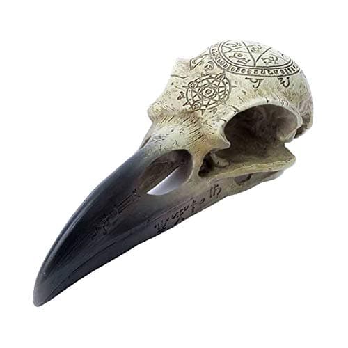 Image of Alchemy Gothic Omega Raven Skull