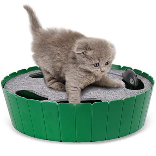 Image of Pawaboo Interactive Cat Toy With Running Mouse, Electronic Motion Automatic Teaser for Indoor Cats, Pop and Play Hide Seek Hunting Mouse for Pet Kitten Play Fun Exercise, Green
