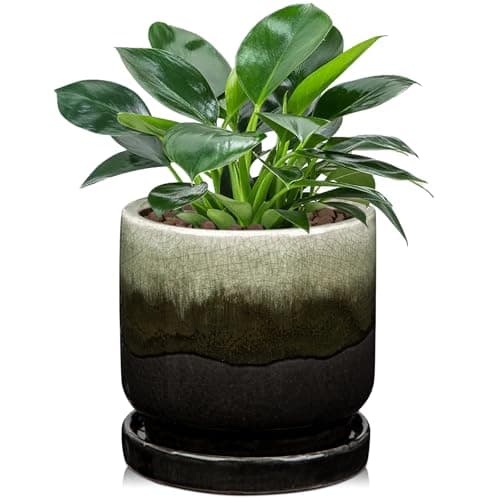 Image of Oairse Ceramic Pot for Plants 5 inch/13cm Ceramic Planter Decorative Small Pot with Drainage Hole and Saucers Gradient Black Outdoor Inoor Flower Pot for Succulent, Cactus, Snake Plant, Herb