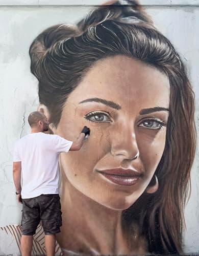 Image of Paint the wall: Everything You Need to Paint Walls, Build Skills, and Make a Living as a Mural Artist