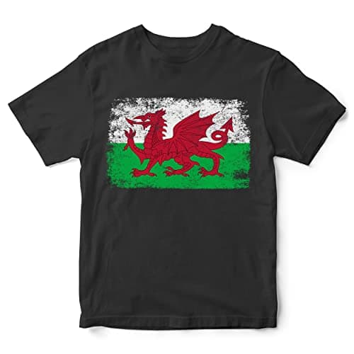 Image of Purple Print House Wales Rugby Flag T Shirt for Kids, Cymru Boys Gifts for Rugby Fan, Welsh Unisex Childrens Tshirts, 5-6 Years, Black