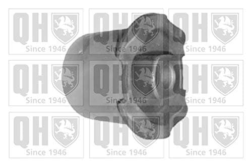 Image of QH EMS8464 Suspension Arm Bush - Front Lower LH & RH (Rear)