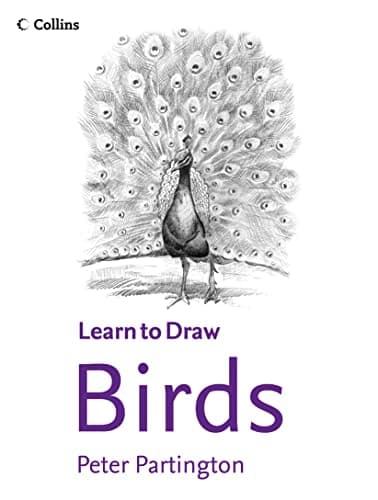 Image of Birds (Collins Learn to Draw): No. 2