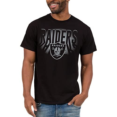 Image of Junk Food Clothing x NFL - Las Vegas Raiders - Team Spotlight Unisex Adult Fan T-Shirt Black